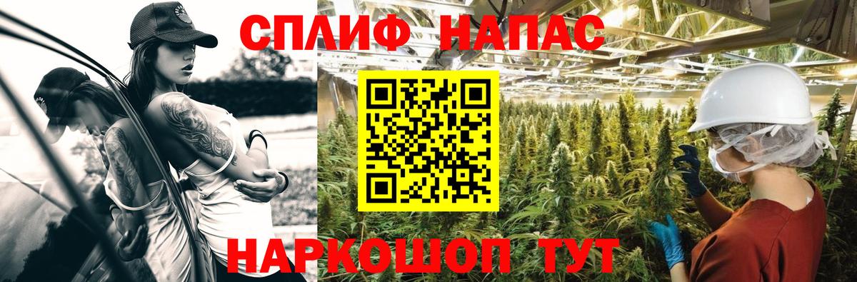 Канабис индика Истра